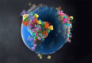 Global warfare between bacteria and fungi in soil. IMAGE: Hildebrand/Krolik in collaboration with Campbell Medical Illustration/EMBL