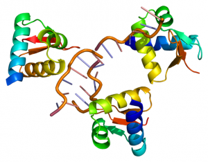 RNA-binding protein