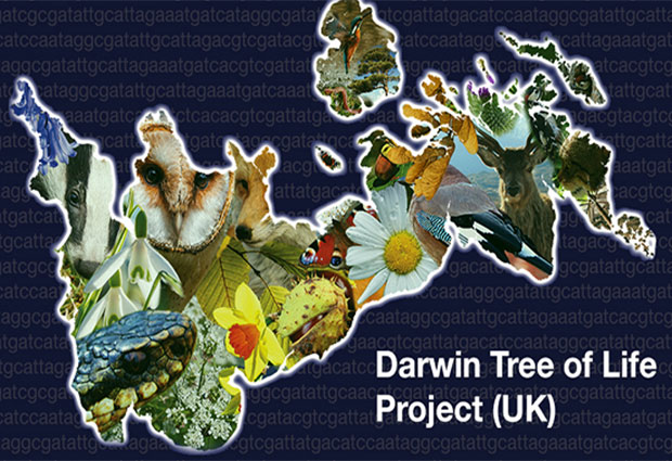 Darwin Tree of Life Project