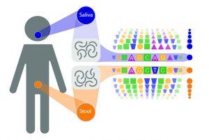 Mouth and gut are highlighted as locations for genetic material compared by scientists