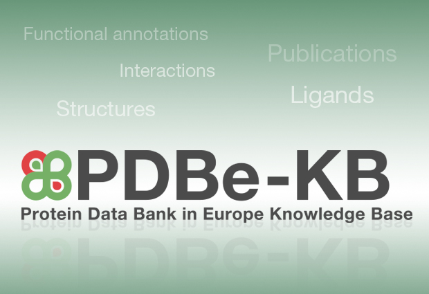 PDBe-KB logo