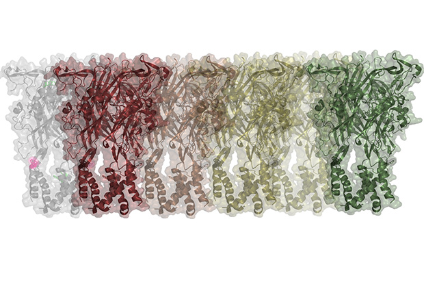 Heatmap representing the stability of an integral membrane proteins