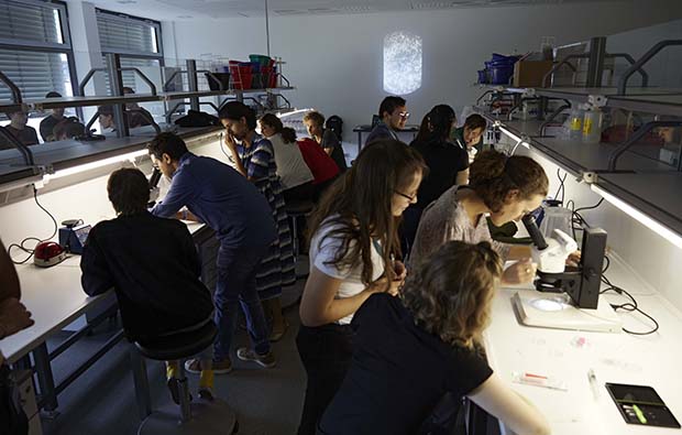 Students collaborate in the lab