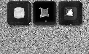 Cryo-ET and micropatterning