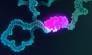 Artistic rendering of an RNA-binding protein interacting with an RNA molecule.