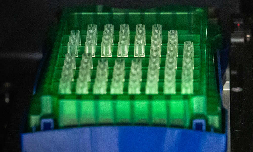 Close-up view of the interior of a protein analytics system