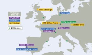 Map showing institutes involved with EMBL in Twinning projects