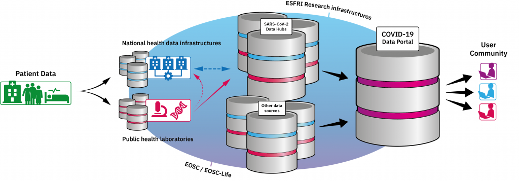 Illustration showing data flow in COVID-19 Data Portal. Credit: Spencer Phillips/EMBL-EBI.