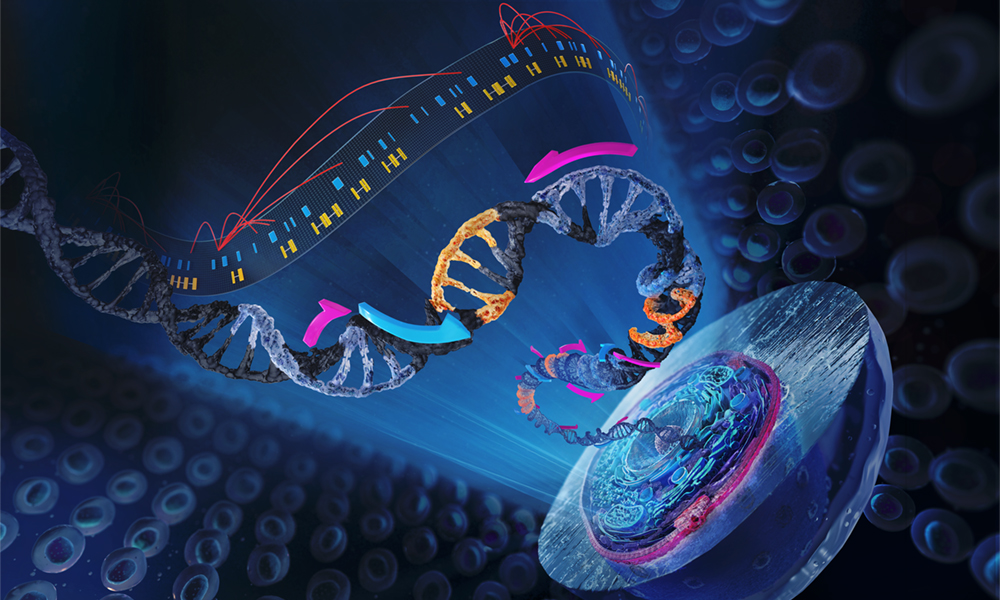 An illustration of single-cell RNA sequencing (scRNA-seq)