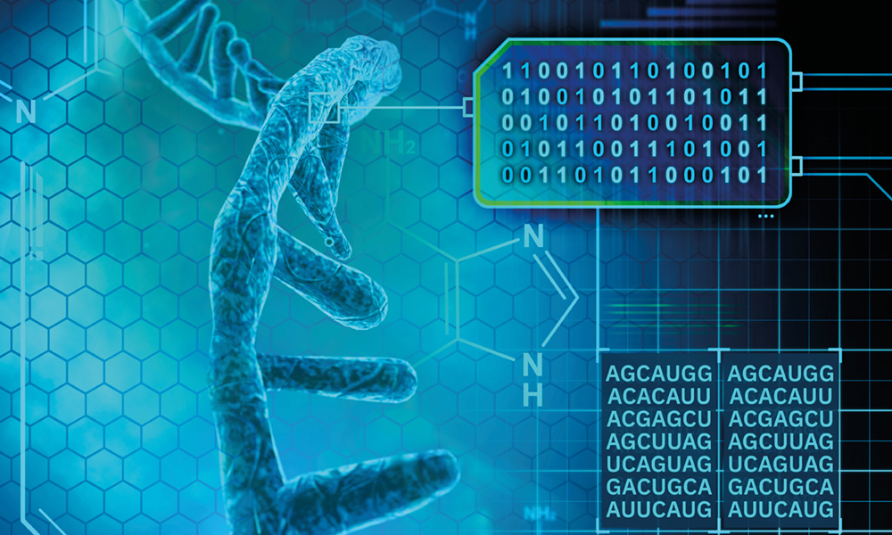 covid 19 genome sequence analysis