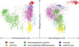 This image shows the 5,372 samples as dots colour-coded for the six major clusters identified by comparing gene expression profiles. The left and right panels of the figure are projections of the same three-dimensional shape viewed from two different perspectives. Image credit: Brazma / EMBL.