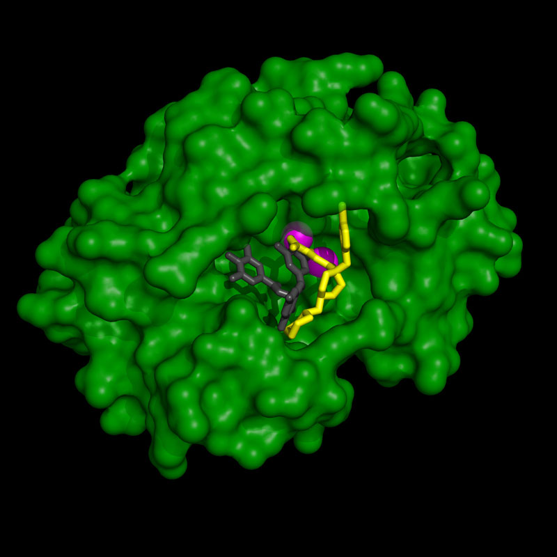 Different inhibitors (yellow, grey) fill the cave-like active site of the cap-snatching protein (the endonuclease, in green) differently, even though they all bind to the active site’s two metal ions (magenta).
