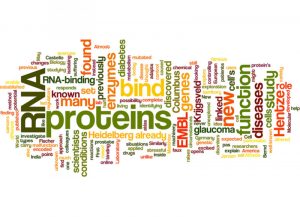 Word cloud of proteins