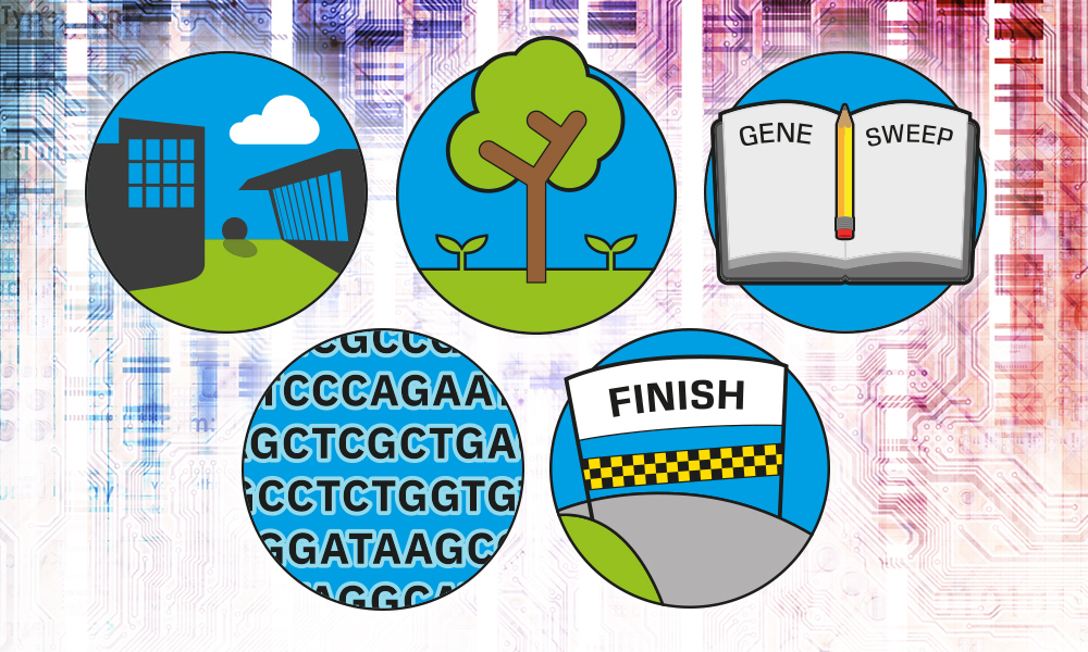 Five things you probably didn't know about the Human Genome Project