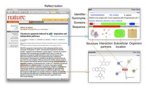 Reflect applied to a pubmed webpage. Protein names found in the text are highlighted in blue, chemicals in orange. Pop-up windows provide extra information on the biomolecules.