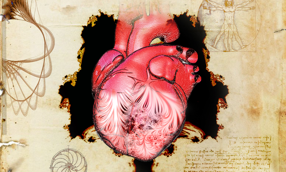 Human Heart