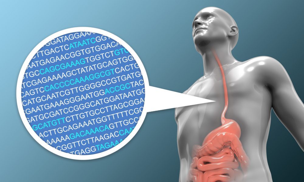 Human silhouette showing internal organs including oesophagus and stomach. Circle with DNA bases A,T, C and G superimposed.