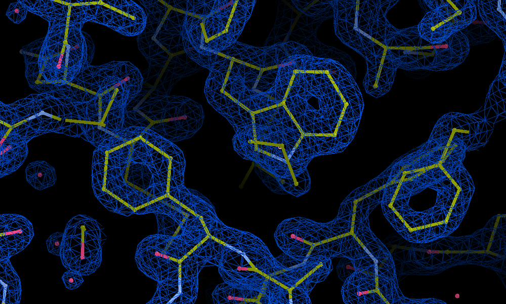 Molecular structure of essential light chain protein in Plasmodium glideosome. The atoms connected by bonds are symbolised by short connected lines. They are surrounded by electrons - the electron density is depicted as shapes resembling clouds. Water molecules are visible in several places as red spots. The data used to create this 3D model were obtained using X-ray crystallography at Petra III beamline, at EMBL Hamburg.