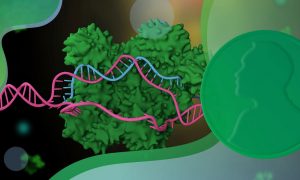 Graphical representation of genome editing tool CRISPR in green and pink. Nobel prize medal on the right.