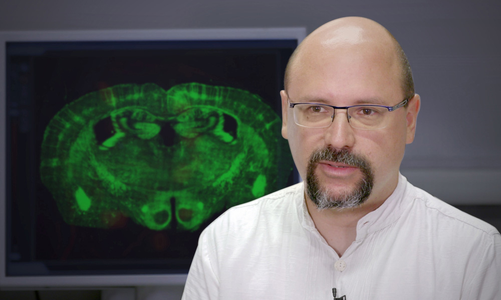 Alvaro Crevenna, heads EMBL Rome's Microscopy Facility. Credit: EMBL