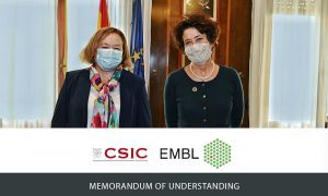 Edith Heard and Rosa Menéndez in front of the Spanish and the European flag, wearing face masks. Institute logos of EMBL and CSIC. Text: Memorandum of Understanding.