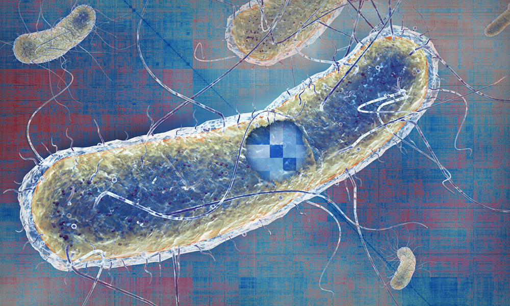 Illustration of a rod-shaped bacterial cell, superimposed on a red and blue background.