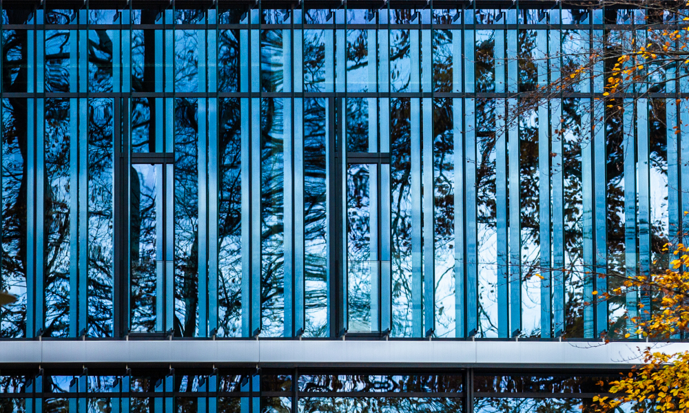 Windowed façade reflecting leafless trees.