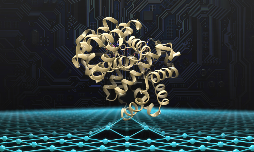 Haemoglobin protein structure shown over a matrix symbolising artificial intelligence