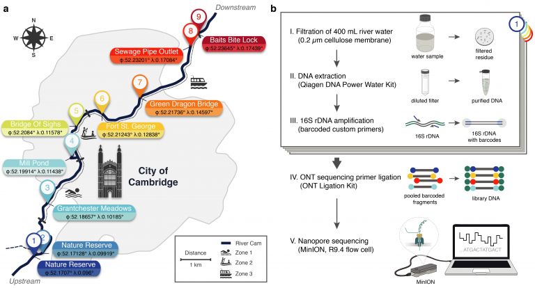 Monitoring dangerous bacteria in freshwater | EMBL
