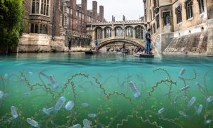 Image of Bridge of Sighs in Cambridge, UK, with animated microbes in the river water.