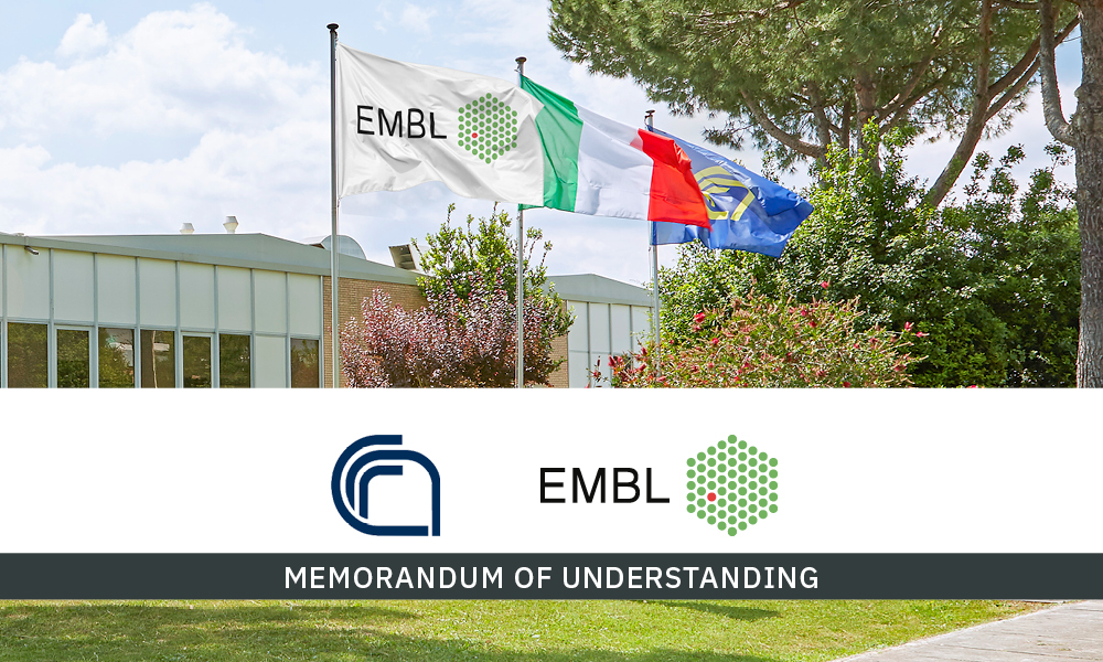 Flags of EMBL, Italy and CNR