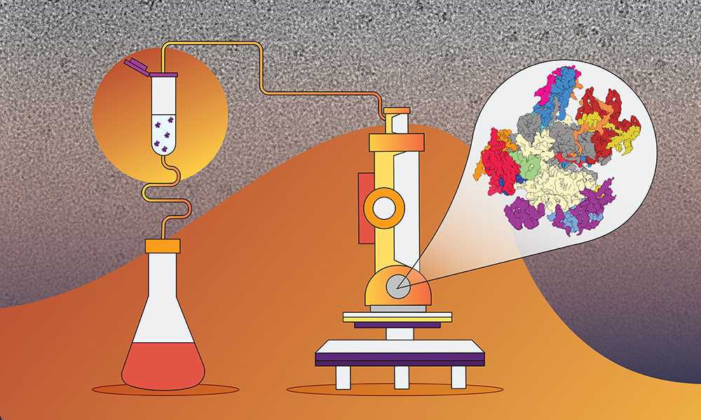 Illustration of a laboratory flask to the left of a microscope against an orange/grey background with a zoomed-in cut-out of the microscope view, which is colourful molecules.