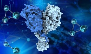 Artistic representation of the structure of the three proteins forming Integrator’s catalytic core.