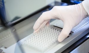 A scientist (only their hand is visible) inserting a 96-well plate into a sample dispensing device in the Sample Preparation and Characterisation Facility in Hamburg.