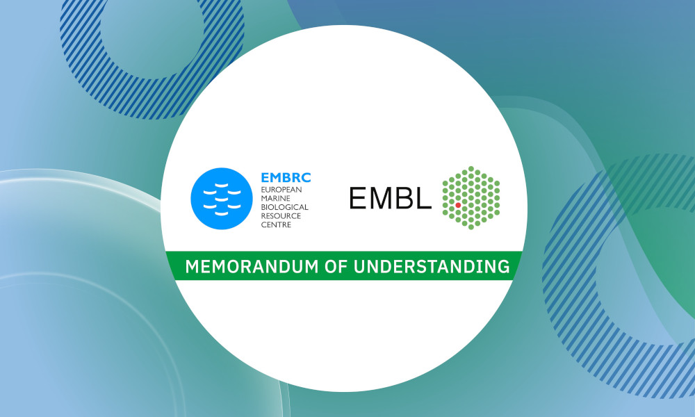 Logos of EMBL and the EMBRC.