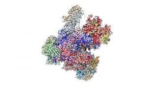 An assembly of proteins in an enzyme, presented in a cartoon style.