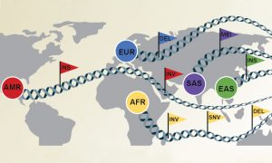 World map showing the origin of 32 diverse genome samples