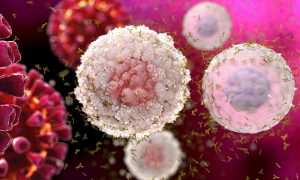 Coronavirus and immune cells on pink background.