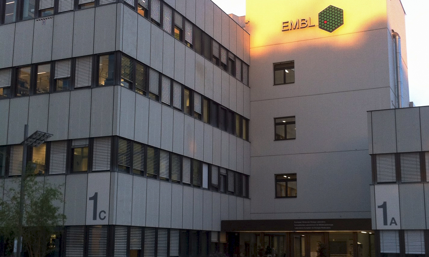EMBL Heidelberg's main building, the top of the façade lit up by sunlight.