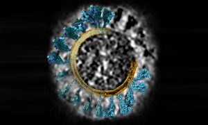 Black-and-white sphere with coronavirus spike protein structures and a two-layered ring of virus membrane superimposed.