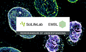 Logos of EMBL and SciLifeLab on a white background, overlaid on a fluorescence microscopy image of cells.