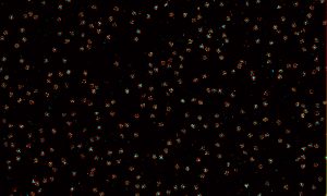 Small star-like objects are scattered throughout a black background