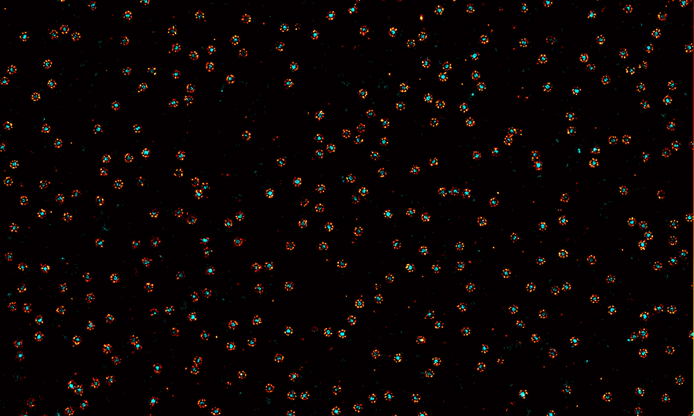 Small star-like objects are scattered throughout a black background