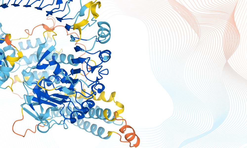 Mouse-ear cress protein structure prediction from AlphaFold database