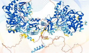 Protein structures