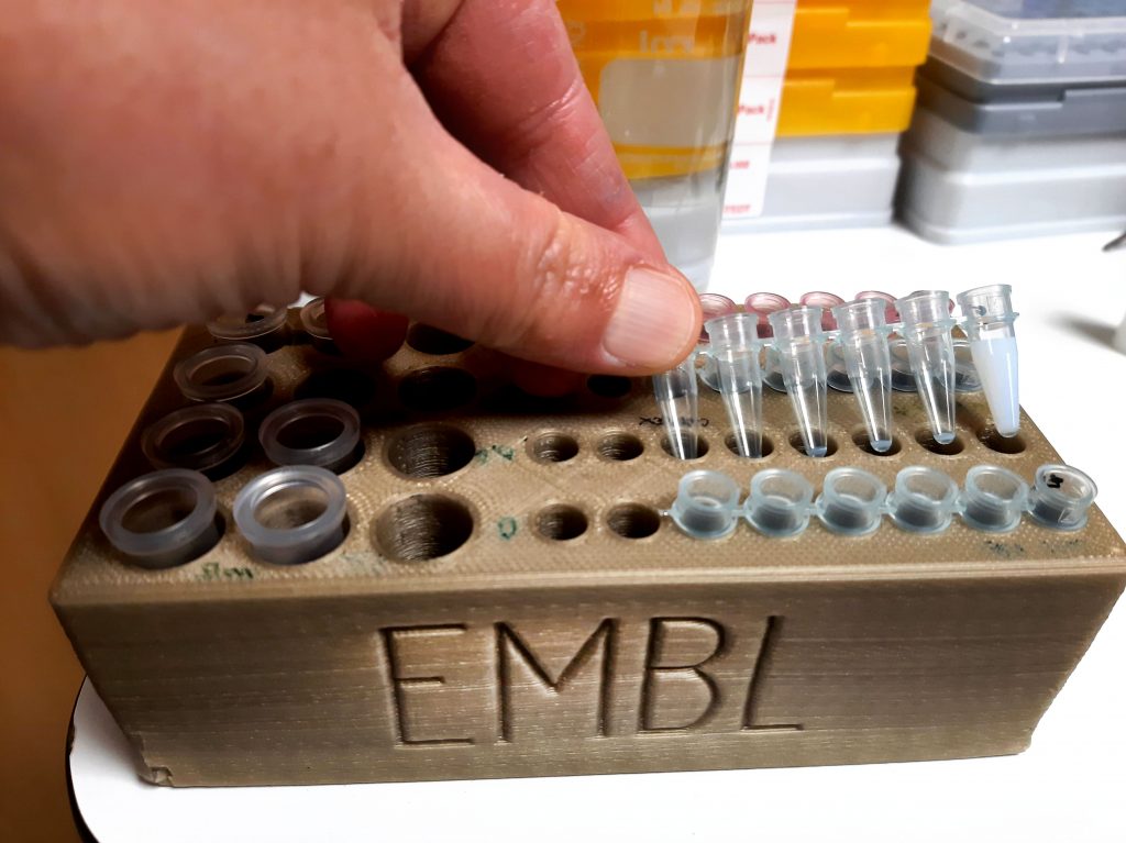 A row of tubes held by a researcher. One of them contains white liquid.