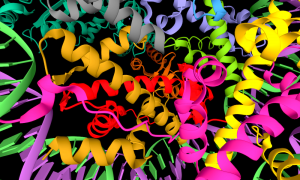 Cryo-EM structure of the BRCA1-UbcH5c/BARD1 E3-E2 module bound to a nucleosome