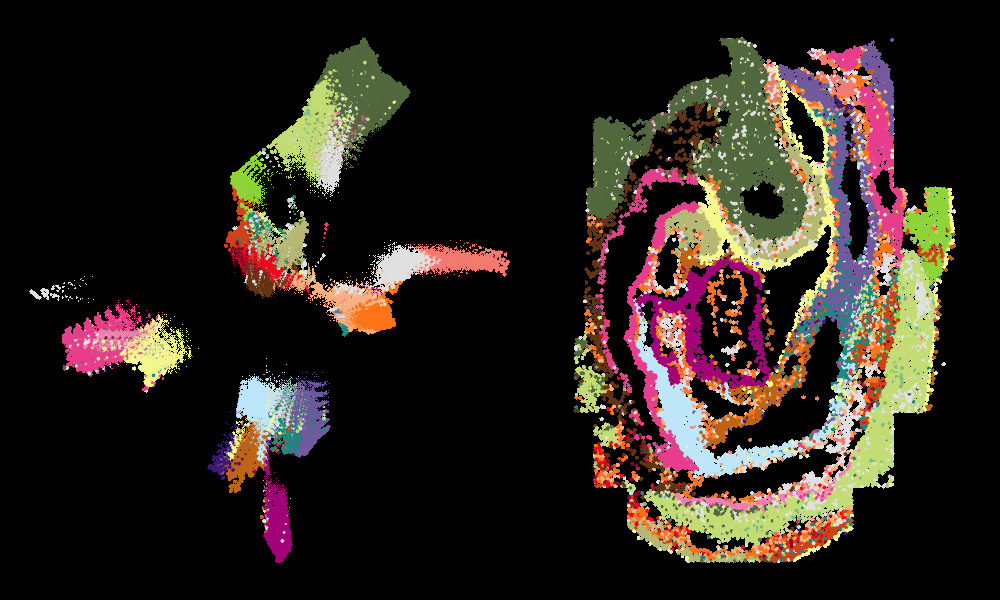 Cells organised according to their transcript data changing to the seqFISH mouse embryo map.