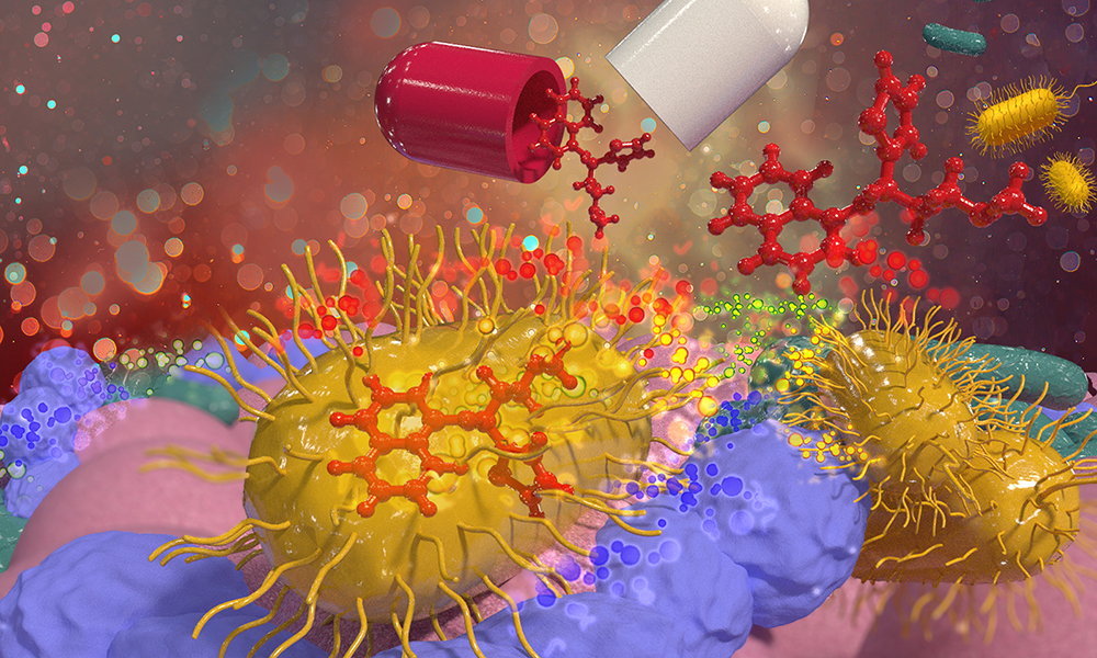 Illustration of two halves of a pill, which releases chemical molecules that are taken up by gut bacteria in the vicinity.