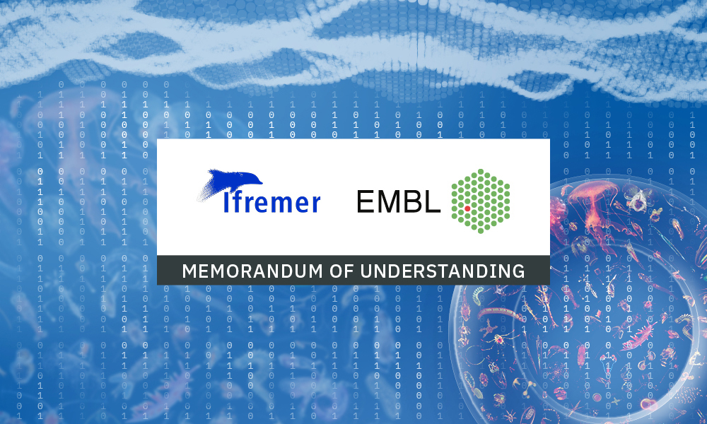 Logos of Ifremer and EMBL with text: “memorandum of understanding”. Illustrations of marine animals and numbers in the background.